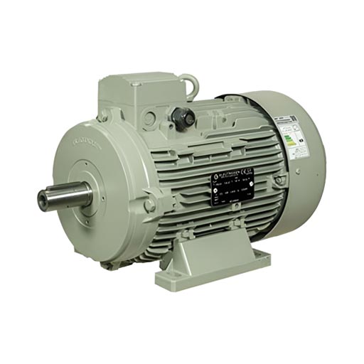 محصول الکتروموتور تکفاز 1400 دور الکتروژن