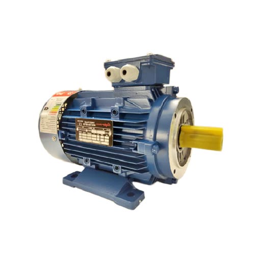 محصول الکتروموتور سه فاز کوپر Cooper 3000RPM